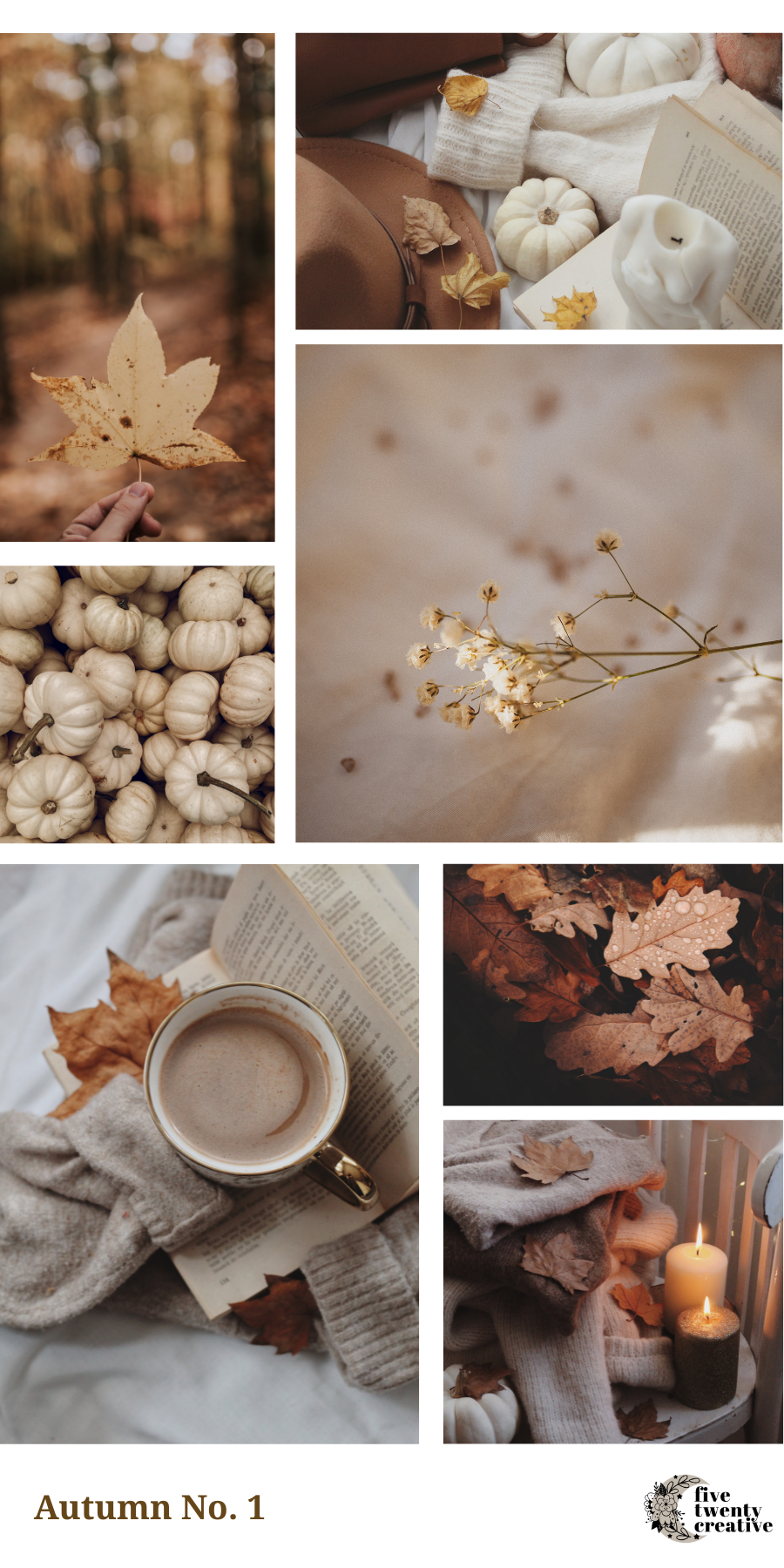Moody Autumn
