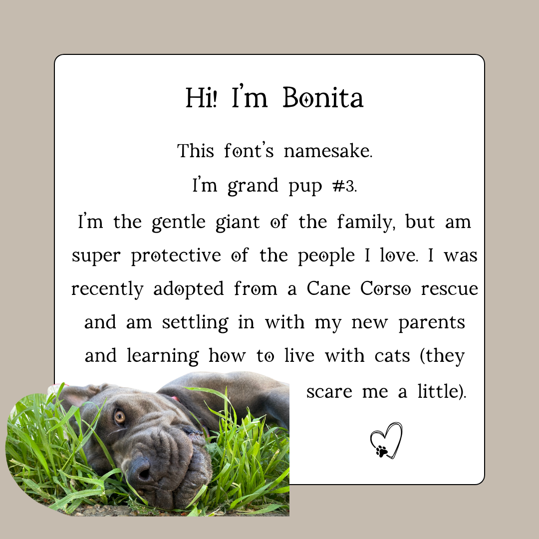 Bonita Font