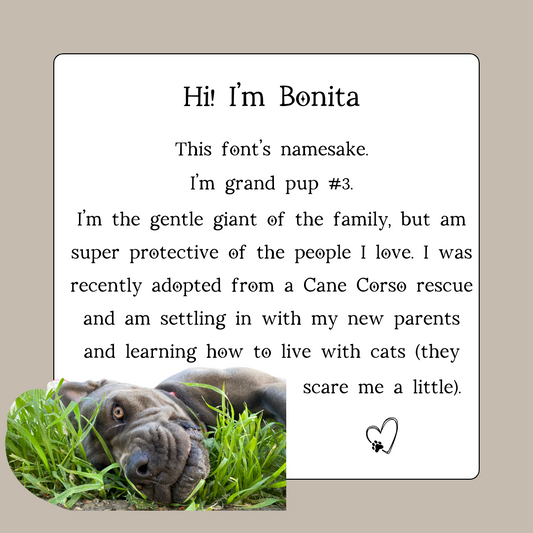 Bonita Font