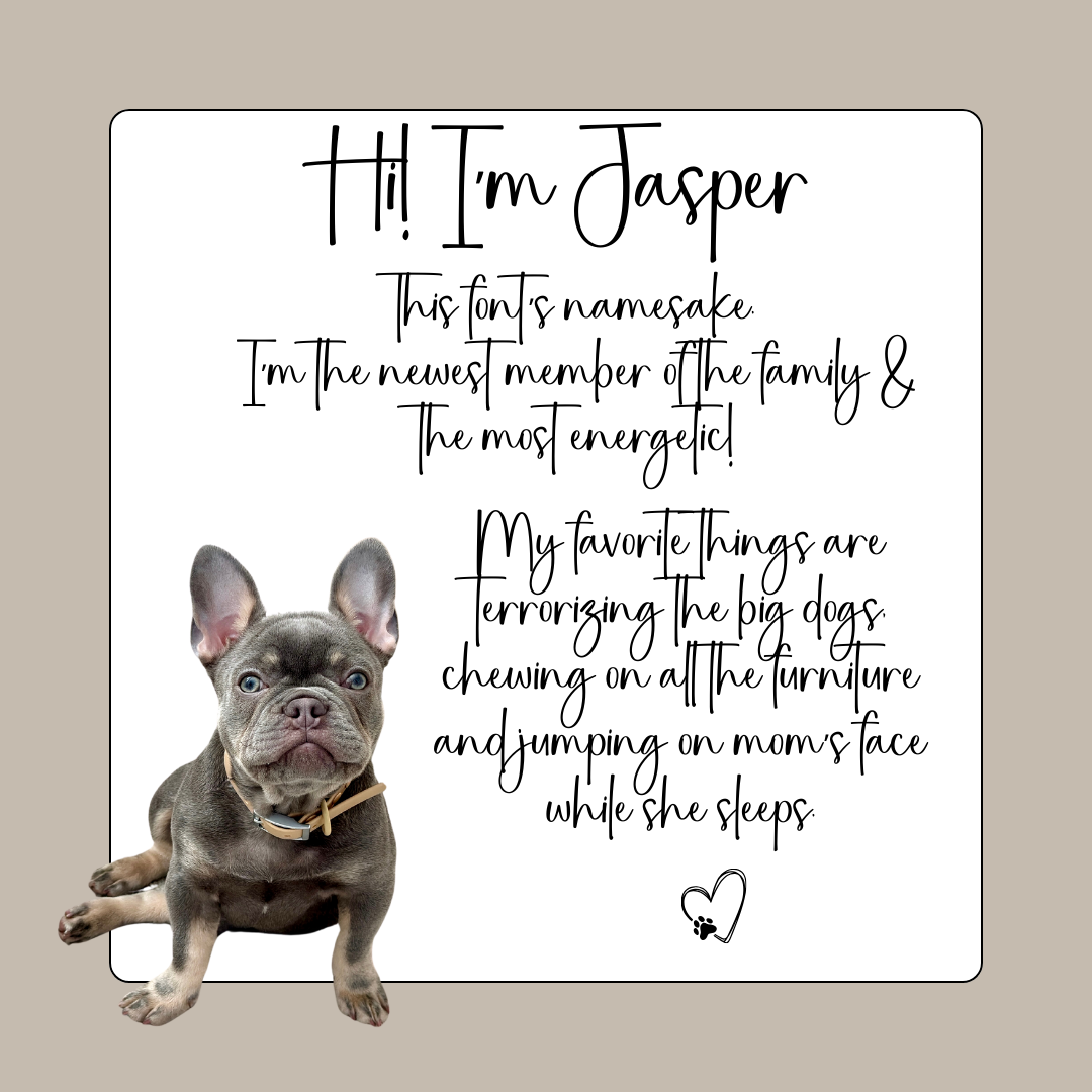 Jasper Cursive Jasper Handwriting Font – Five Twenty Creative