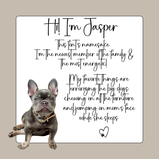 Jasper Handwriting Font