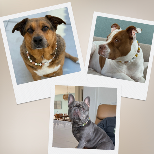 Dog Friendship Necklace