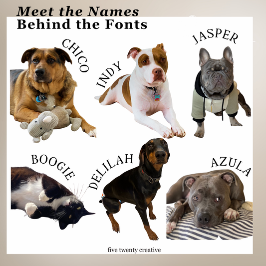 Jasper Handwriting Font